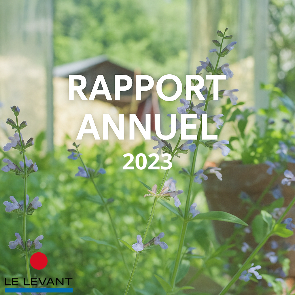 rapport annuel 2023 fondation du levant